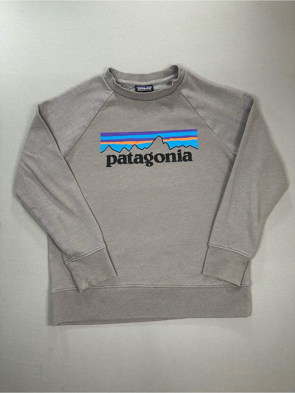 Patagonia Kids' Lightweight Crew Sweatshirt, Drifter Grey w/ Logo - Kids Medium